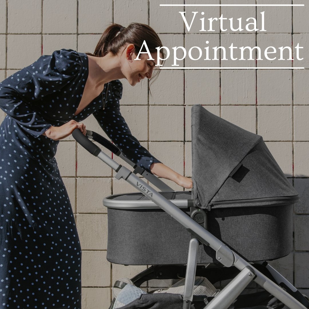 Virtual Appointment - Bundle Baby